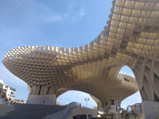 IMG_20190623_111437479